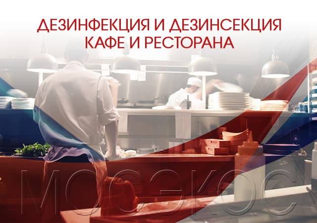 Дезинсекция предприятия общественного питания в Щербинке